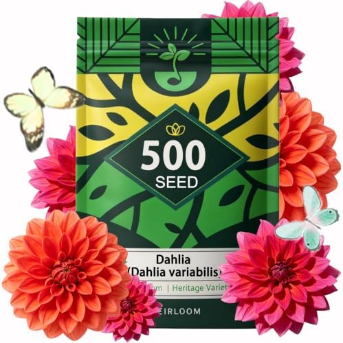 Dahlia Seeds for Planting, Garden Seeds 500ct, Vibrant Mixed Colors Flower by Unknown
