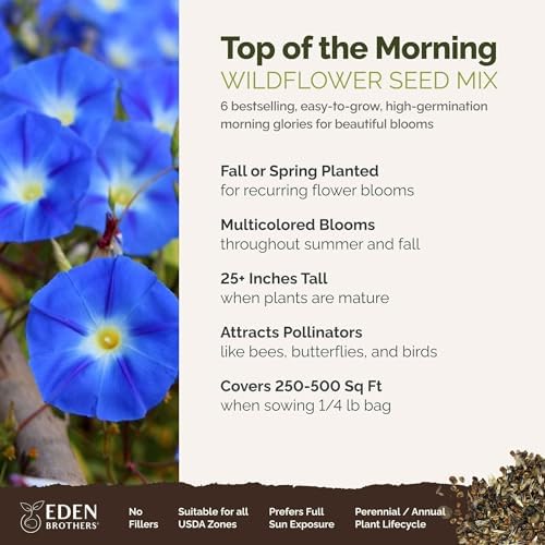Eden Brothers Top O The Morning Flower Mixed Seeds for Planting, 1/4 lb, 120,000+ Seeds with Morning Glory, Moonflower | Attracts Pollinators, Plant in Spring or Fall, Zones 3, 4, 5, 6, 7, 8, 9, 10 - Image 2