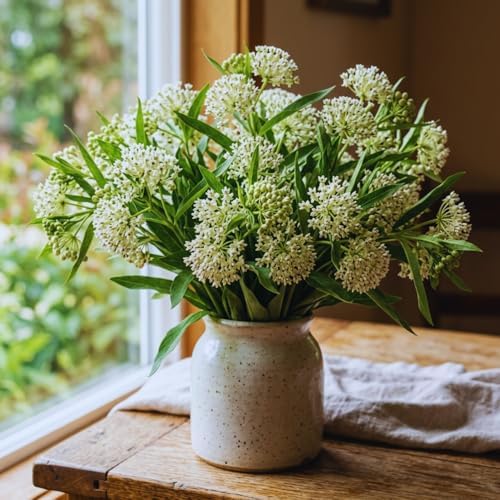 3 White Milkweed Live Plants, Milkweed Flower Plant, 5-7 Inc - Image 3