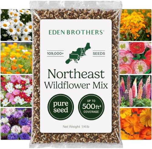 Eden Brothers Northeast Wildflower Mixed Seeds for Planting, 1/4 lb, 120,000+ Seeds with Cosmos, Candytuft, Shasta Daisy | Attracts Pollinators, Plant in Spring or Fall, Zones 3, 4, 5, 6, 7, 8, 9, 10 by EdenBrothers