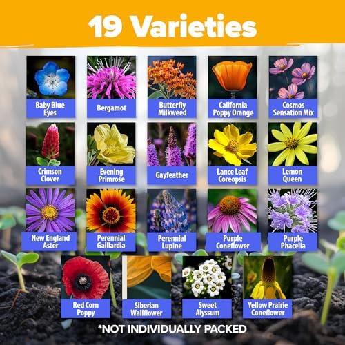 HOME GROWN 19 Wildflower Variety Mix 59,300+ Flower Seeds 2 oz - Image 2