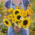 Eden Brothers Mellow Yellow Flower Mixed Seeds for Planting, 1/4 lb, 120,000+ Seeds with Painted Daisy, Zinnia, Cosmos | Attracts Pollinators, Plant in Spring or Fall, Zones 3, 4, 5, 6, 7, 8, 9, 10 by EdenBrothers