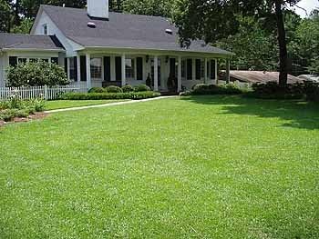 TifBlair Centipede Grass Seed (5 Lb.) Direct from The Farm - Image 2