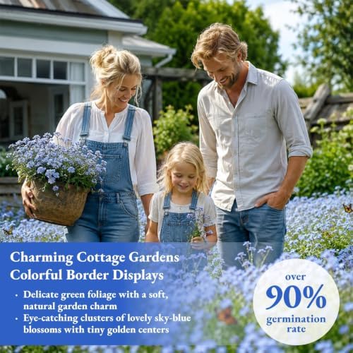 10,000+ Forget-Me-Not Seeds, Blue Cynoglossum amabile Flower for Planting - Image 6