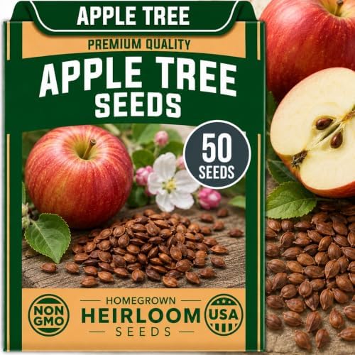 50 Apple Tree Seeds | Malus Domestica Fruit Tree Seeds for Planting by CZGrain
