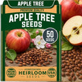 50 Apple Tree Seeds | Malus Domestica Fruit Tree Seeds for Planting by CZGrain