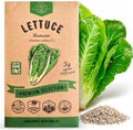 Lettuce Romaine Seeds 3 G - Over 2,600 Non-GMO Heirloom Lettuce Seeds for Planting Greens in Individual Seed Packet by OrganoRepublic