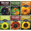 Sunflower Seeds Collection 6 Variety Pack for Planting by SurvivalGardenSeeds