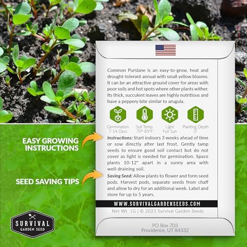 Purslane Seeds for Planting, Verdolagas - 1 Pack - Image 2