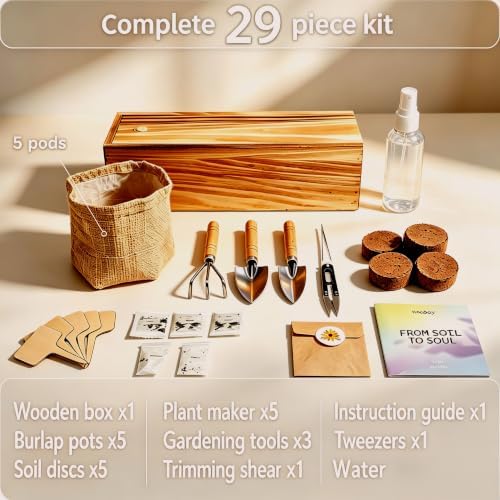 5 Herb Garden Kit, Wooden Box, Windowsill Basil Thyme Parsley Rosemary Mint - Image 3
