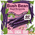SVI 60 Royal Burgundy Bush Bean Heirloom Vegetable Seeds Phaseolus vulgaris by SVI