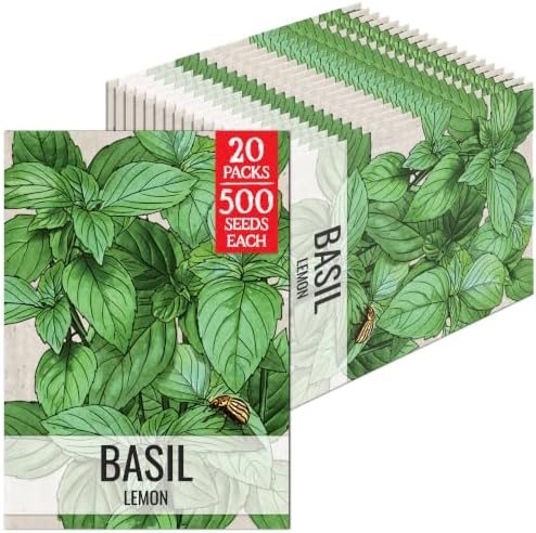 Seed Needs Lemon Basil Seeds to Plant an Herb Garden - 20 Packs by SeedNeeds