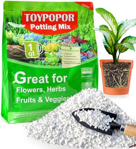 TOYPOPOR Perlite for Plants, 3-6mm Organic Perlite for Gardening, Perlite for Plants Indoor, Soil Additive Conditioner Mix Improve Drainage and Ventilation Promote Root Growth and Soil Health 1qt by TOYPOPOR