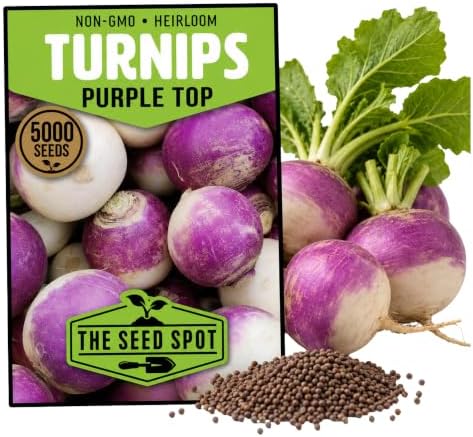 5000+ Turnip Seeds for Planting - Heirloom Non GMO by Unknown