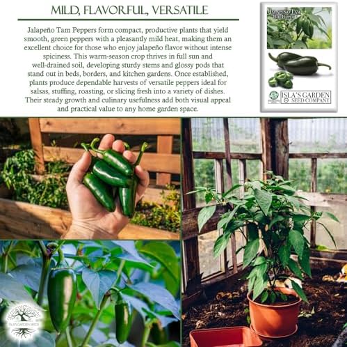Jalapeño Tam Pepper Seeds (Capsicum annuum) – 50+ Non GMO & Heirloom Seeds by Isla’s Garden Seeds, Mild-Heat Jalapeños for Salsas, Stuffing & Fresh Cooking, Ideal Kitchen Garden Gift Idea - Image 5