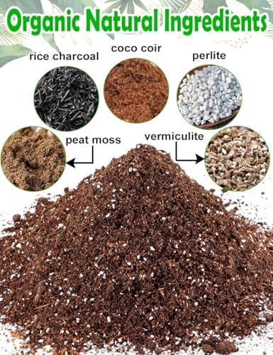TOYPOPOR Potting Soil for All Indoor Houseplants, (6qt) Contains Perlite, Peat Moss, Coco Coir, Rice Charcoal, Well Draining Potting Mix Light, Aerated Texture for Healthy Plant Roots, Fast Growth - Image 3