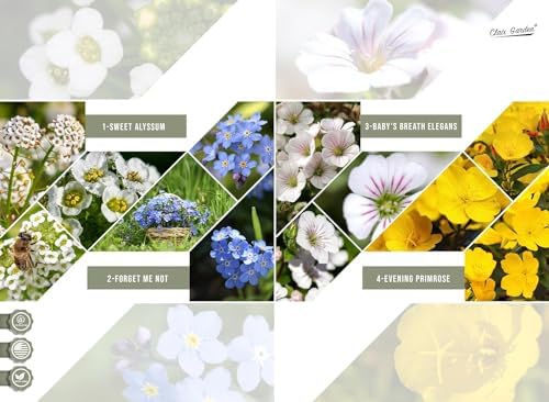 California Wildflower Mix - 5,000 Seeds - 17 Varieties - No Fillers, Open Pollinated and Non GMO, Perennial and Annual Garden Flowers, Attracts Bees and Butterflies - Image 5