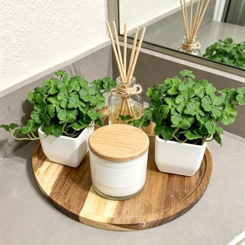 Artificial Shamrock Potted Plants, Set of 2 Indoor Faux Clover Decor - Image 4