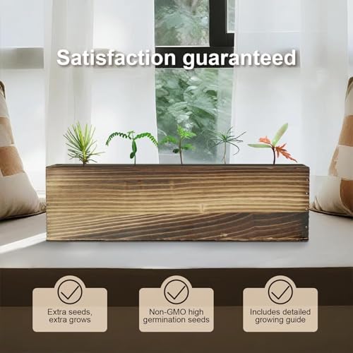 5 Pack Bonsai Tree Kit with Complete Tools, 5X Unique Seeds Bonzai Tree Live Kits, Complete Indoor Bonsai Starter Kit with Wooden Box, Perfect Christmas Garden Gift for Mom, Men, Women, Plant Lover - Image 6