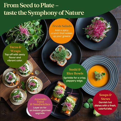 Radish Sprouting & Microgreens Seeds - 50,000 Non-GMO Heirloom Seed, 1lb Resealable Bag - High-Germination Radish Seeds for Sprouting in Jars, Soil, Hydroponics & Microgreen Trays - Image 6