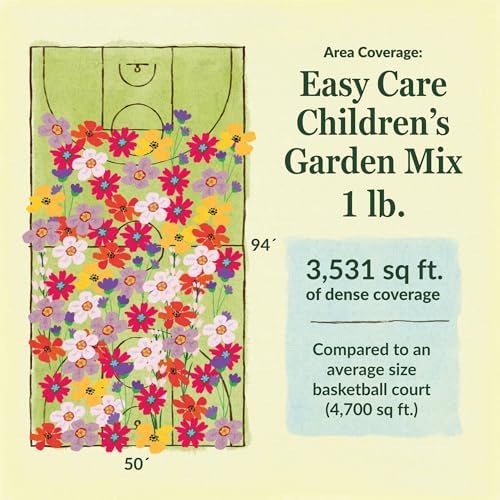 Ferry-Morse Children's Garden Bulk Wildflower Seeds, 650,000+, 1 lb - Image 6