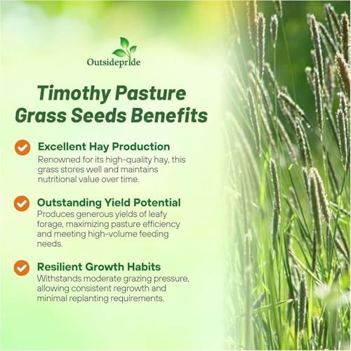 Outsidepride Climax Timothy Pasture Grass Seed - 5 Lbs. Perennial, Hardy, Easy to Grow, High-Yield, & Palatable, Winter Pasture Seed for Late-Spring Grazing, Hay Harvesting & Field Curing - Image 5
