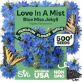 SVI 500 Blue Miss Jekyll Love-in-a-Mist Heirloom Seeds Nigella damascena by SVI