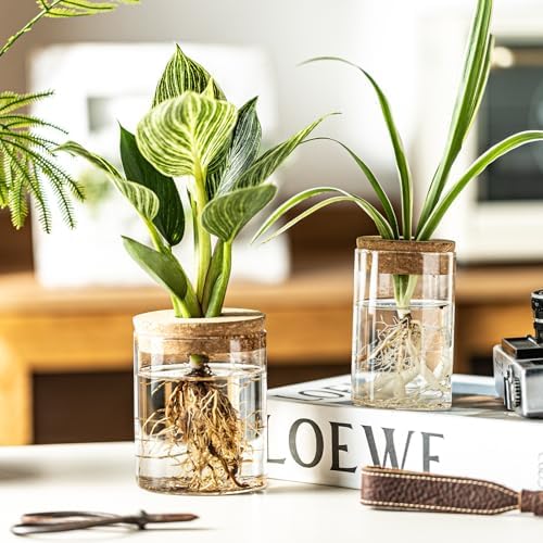 Glass Propagation Stations for Plants -Desktop Flower Vases,Propagation Flower Vases Set – 6 Large & 6 Small for Plant Cuttings，for Living Room, Bedroom Decoration,Home,Office Decor (12) - Image 6