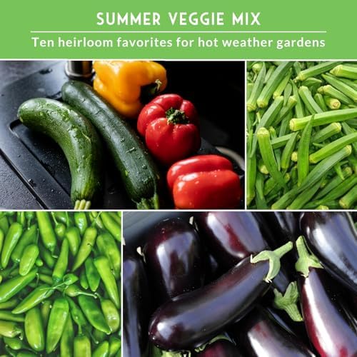 Summer Vegetable Garden Seeds Variety Pack for Planting - Image 4