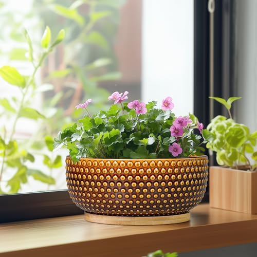 Bonsai Pots - 8 Inch Succulent Bowl for Indoor Plant, Shallow Round Ceramic Planters with Drainage Hole and Saucer, Boho Home Room Office Apartment Decor, Plant Lovers Gifts, Brown - Image 4