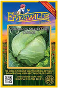 500 Copenhagen Market Early Cabbage Seeds - Gold Vault Jumbo Seed Packet by Everwilde+Farms