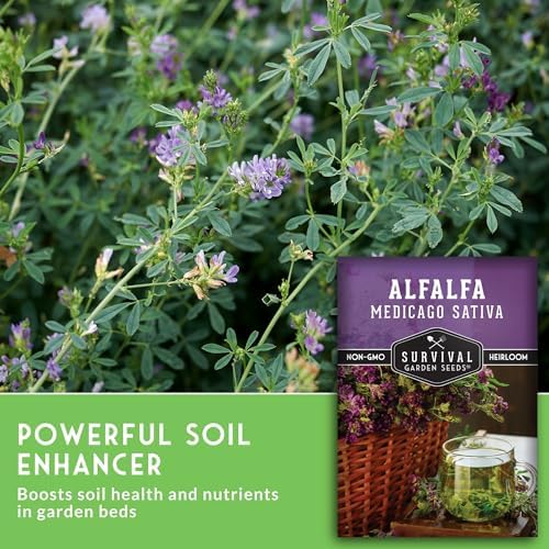 Alfalfa Seeds for Planting - Survival Garden Seeds (2 Pack) - Image 5