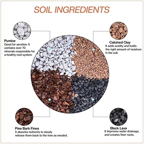 Bonsai Soil by The Bonsai Supply – 20qts. Professional Bonsai Soil Mix | Ready to use| Great for All Bonsai Tree Varieties. - Image 2