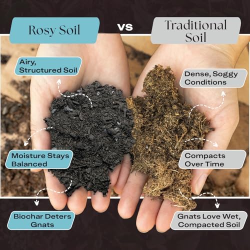 Rosy Soil Houseplant Potting Soil, Organic Indoor Potting Mix, 4 Quarts - Image 3