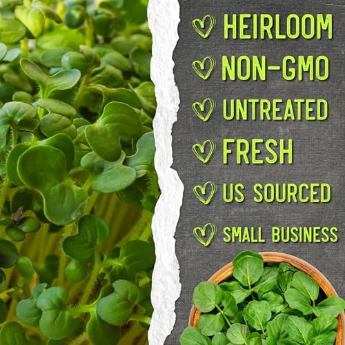 Seed Needs Watercress Seeds to Plant an Herb Garden - 1 Pack - Image 6