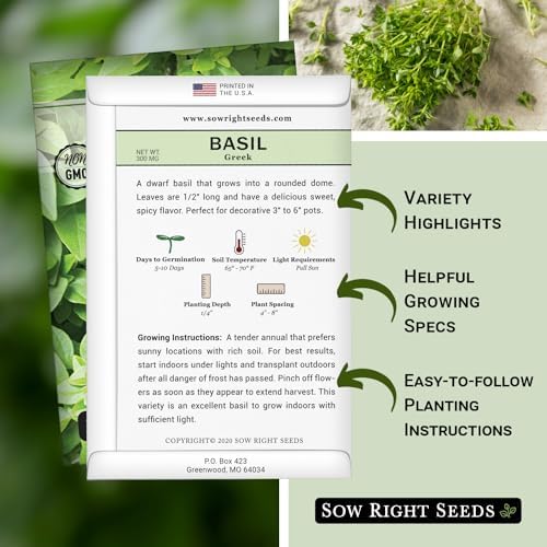 Sow Right Seeds - Greek Sweet Basil Seed for Planting in Your Herb Garden - Image 2