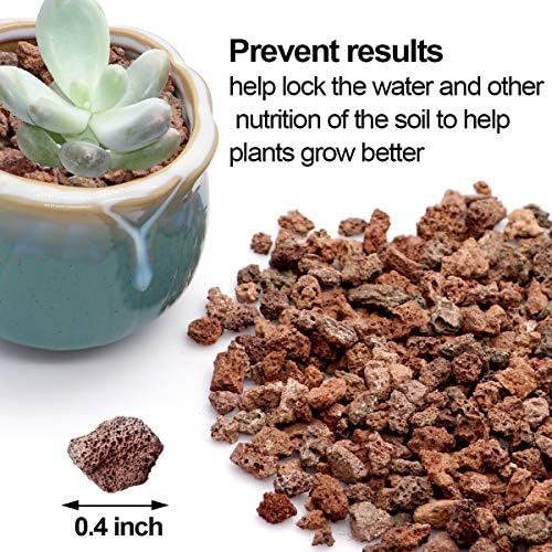 TOYPOPOR Red Lava Accent Rocks Outdoor Decorative Stones for Craft Projects, Vase Fillers, Succulents, Cactus Pots, Terrarium Plants 2.2LB - Image 3