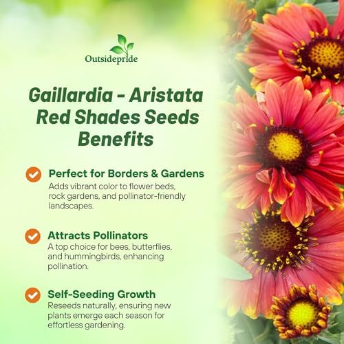 Outsidepride Gaillardia Aristata Arizona Red Shades Blanket Flower Seeds for Planting - 50 Pcs Perennial Wildflower Seeds, Drought-Tolerant for Xeriscaping, Pollinator Gardens, or Wildflower Mixes - Image 3