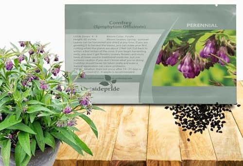 Outsidepride Comfrey Seeds - 200 Pcs. Perennial, Drought-Tolerant & Low Maintenance, Herb Seeds for Planting Tall, Vibrant Bell-Shaped Purple Blooms for Versatile Uses & Pollinator Gardens by Outsidepride