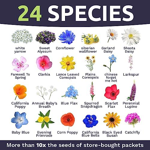 California Wildflower Mixture - Bulk 1 Ounce Packet - Over 7,000 Native Seeds - Open Pollinated and Non GMO - Image 4