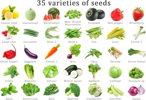 Vegetable Seeds Kit Fruit Seeds for Planting Non-GMO and Heirloom 35 Varieties Seeds for Planting Vegetables 10 Plant Markers - Image 2