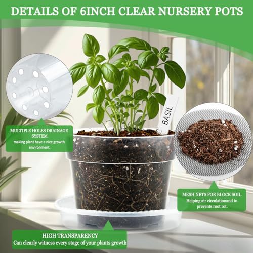 BTPLASTIK 6 Inch Clear Nursery Pots with Humidity Domes 15 Pack, Transparent Plastic Plant Pot with Drainage Holes and Saucers, Seed Starter Pots with 15 Pcs Plant Labels and 15 Pcs Soil Screens - Image 3