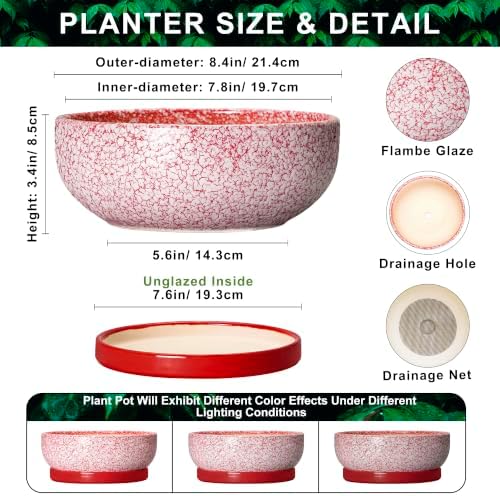 Ceramic Succulent Planter, 8 Inch Bonsai Pots with Tray, Texture Red - Image 2