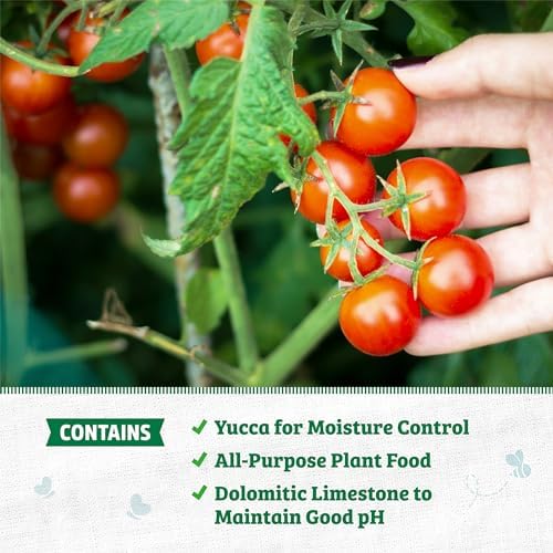 Back to the Roots 100% Organic Potting Mix (Value 12 Quart) | Premium Blend | Made in the USA - Image 4