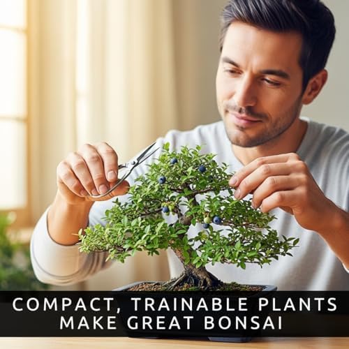 1 Blueberry Bonsai Tree Seedling – 1 Year Old Live Plant, Well Rooted Fruit Bearing Shrub for Container Growing, Edible Bonsai Starter for Patio, Indoor or Outdoor Gardening - Image 4