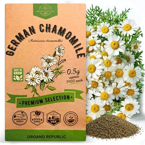 Organo Republic German Chamomile Seeds Pack 0.5 G - Over 5,900 Non-GMO Heirloom Chamomile Seeds for Planting Herbs in Individual Seed Packet, Herbs Seeds for Planting Home Indoor & Outdoor Gardening by OrganoRepublic