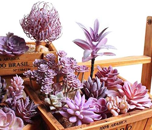 Woohome 15 PCS Artificial Succulent Plants, Purple Fake Succulent, Unpotted Faux Succulent Assortment in Flocked Blue in Different Type for Birthday Home Decor Indoor Wall Garden DIY - Image 7