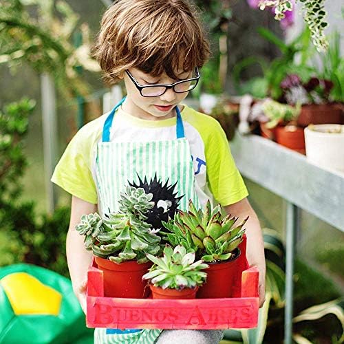 Augshy Nursery Pot, 75 Pcs 4 Inches Plastic Nursery Seed Starting Pots - Image 6
