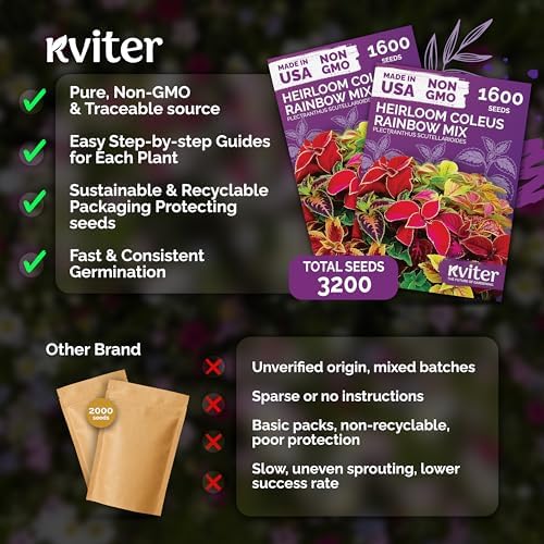 3,200 Rainbow Coleus Mix Seeds for Planting, Plectranthus Scutellarioides - Image 5