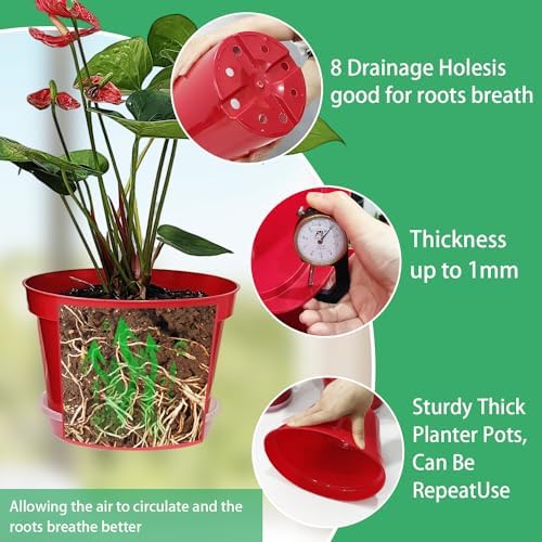 RooTrimmer 8 inch Plastic Flower Pots, Red Plant Pots 12Pack with Saucers for Indoor House Plants Growing and Decoration - Image 5